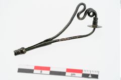 Foto von Bronzeschlangenfibel (NHMW-PRAE-024249)